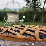Gospodarstwo agroturystyczne Casale Viridi - Nel Fresco Delle Colline Umbre Narni