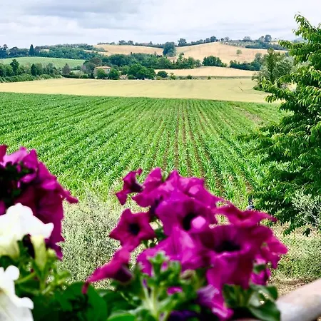 Casale Viridi - Nel Fresco Delle Colline Umbre * Нарни