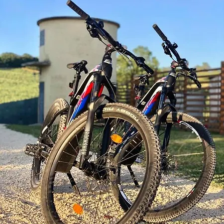 Casale Viridi - Nel Fresco Delle Colline Umbre Фермерский дом Нарни