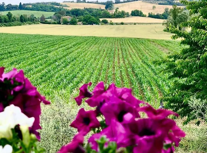 Casale Viridi - Nel Fresco Delle Colline Umbre * Narni