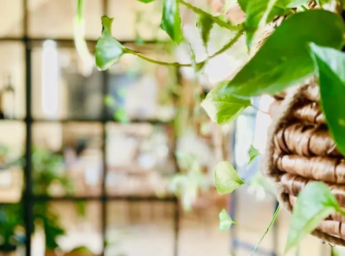 Alojamento de Turismo Rural Casale Viridi - Nel Fresco Delle Colline Umbre *