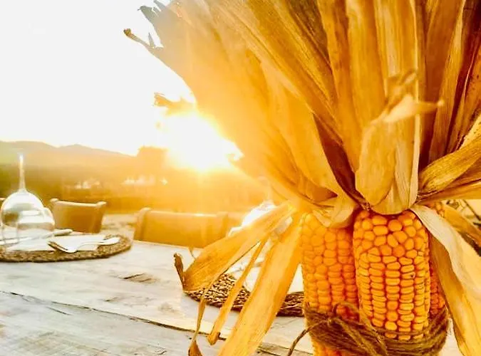 Casale Viridi - Nel Fresco Delle Colline Umbre